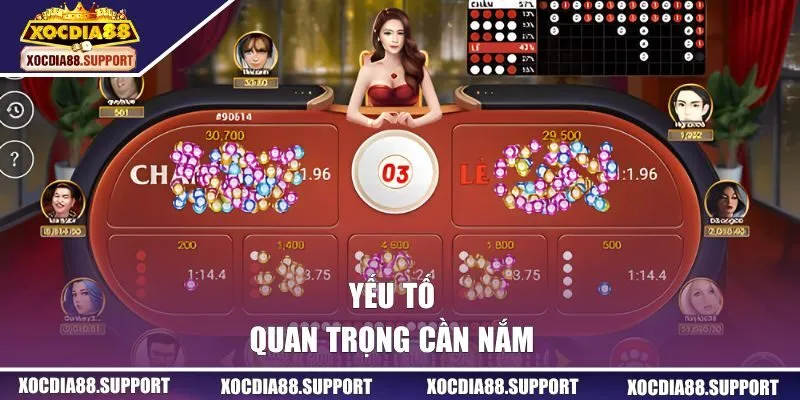 Yếu tố quan trọng cần nắm